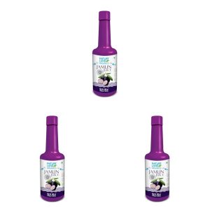 Natureland Organics Jamun Juice 500 Ml - Organic Juices (Pack of 3)