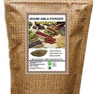 BHUMI AMLA POWDER 100 GM