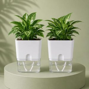 Casa De Amor Self Watering Pots for Indoor Plants | Home Decor, Living Room, Kitchen, Bedroom, Table Top, Office, Gifting | Plants not Included (White, Pack of 2) (Plants not Included)