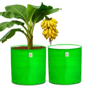 Casa De Amor Premium HDPE Grow Bag 24x24 Inch (2 Packs) ? UV Protected 260 GSM Round Grow Bag for Terrace Gardening, Ideal for Growing Large Fruits & Flowering Plants ? Green Color