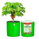 61m6TXd1gAL._SX679_.jpg