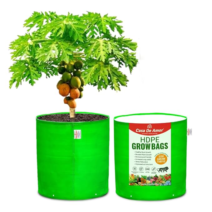 61m6TXd1gAL._SX679_.jpg