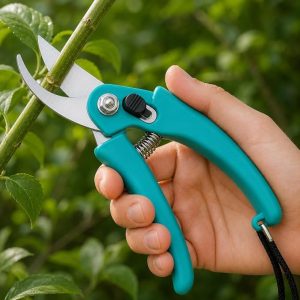Casa De Amor Plant Pruner Cutter 1 Pc, Stainless Steel