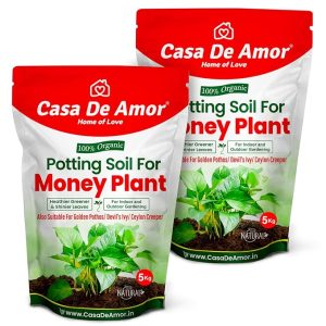 Casa De Amor Enriched Organic Potting Soil Mix for Money Plant, Golden Pothos, Devil’s Ivy, Ceylon Creeper | Light Weight | Ready to Use (10 Kg)