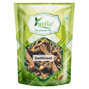 YUVIKA Dantimool - Danti Mool - Baliospermum Montanum (100 Grams)