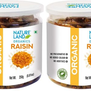 Natureland Organics Raisins Jar, 250 g (Pack of 2)