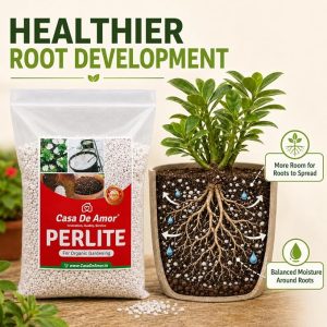 Casa De Amor Perlite for Hydroponics & Horticulture, 500 Gram